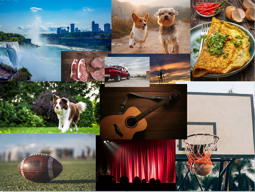 A collage with pictures of dogs, a truck, a stage, an omelette, a basketball hoop, a football, and a stage.